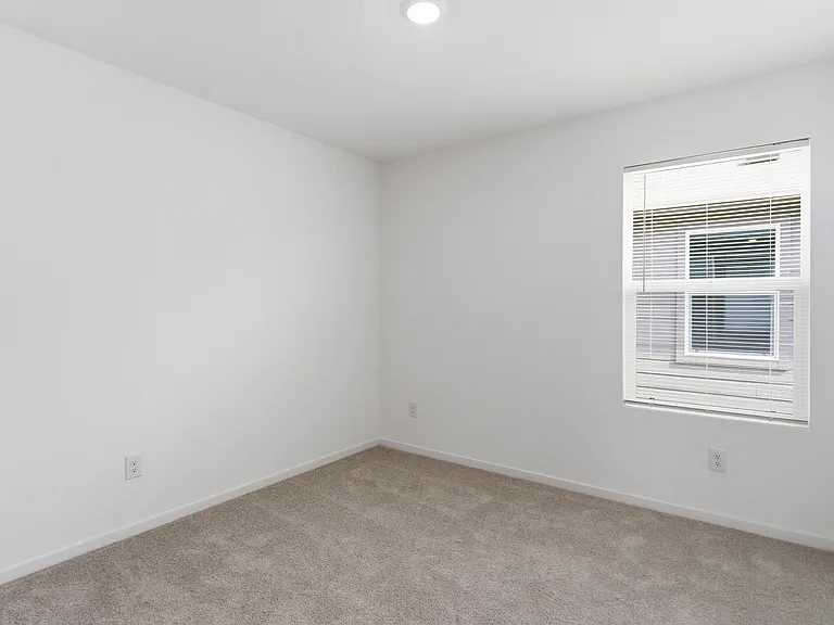 3120 Burmese St — Photo 16