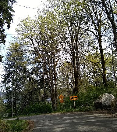 Fir Dr. access to the land
