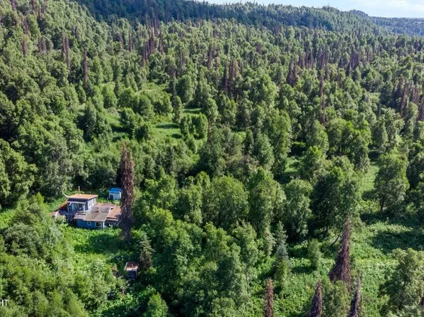 2187 N Parks Hwy, Trapper Creek, AK 99683