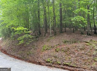 0 Pelican Dr, Ellijay, GA 30540