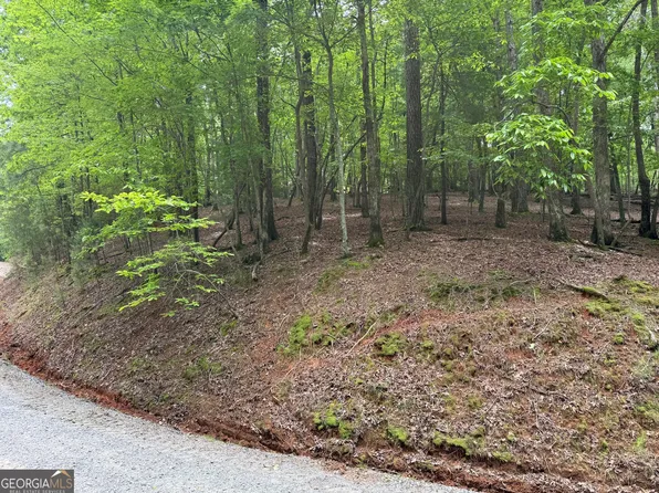 0 Pelican Dr, Ellijay, GA 30540