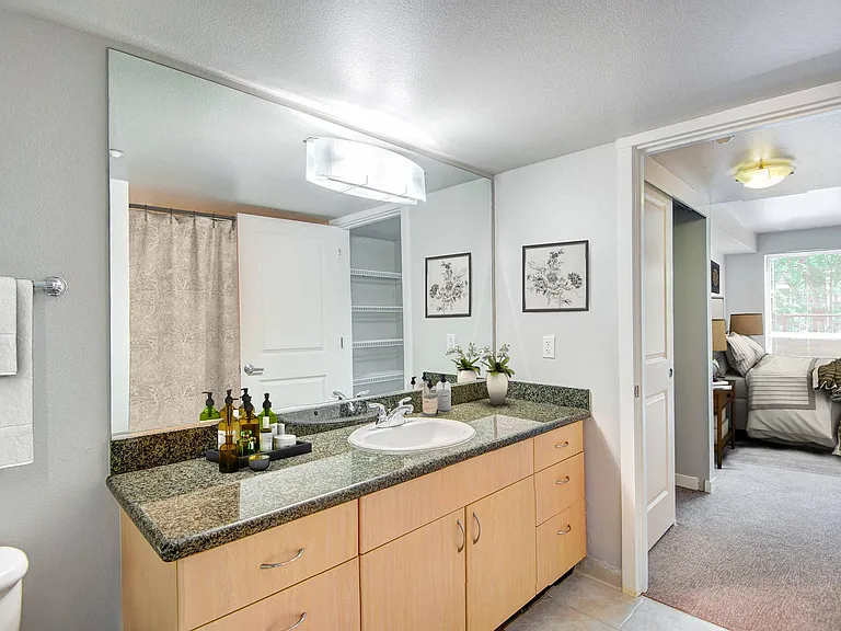 Summit at Madison Park — Photo 14