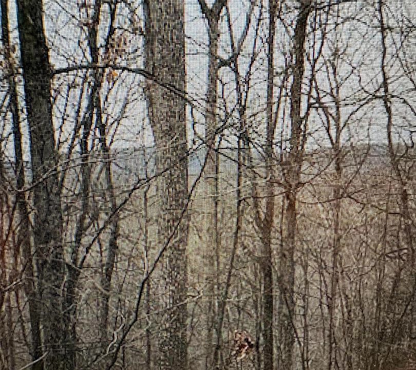1st image of 9-10 Eleven #26-28-36