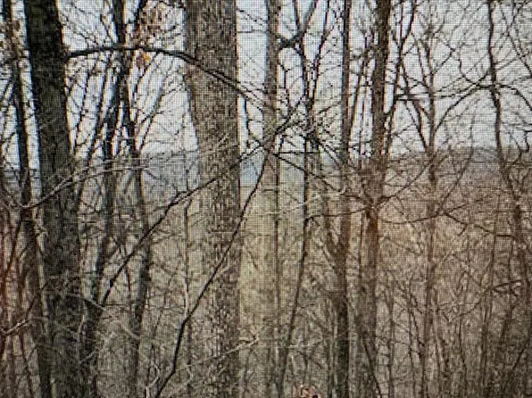 9-10 Eleven #26-28-36, Berkeley Springs, WV 25411