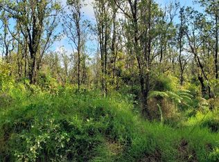 Omeka Rd, Volcano, HI 96785
