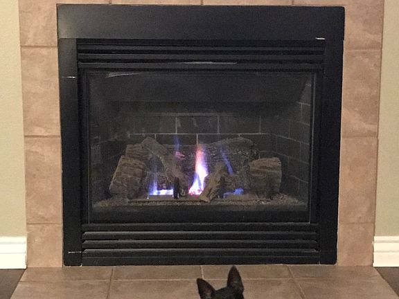 Fireplace-dog not included 