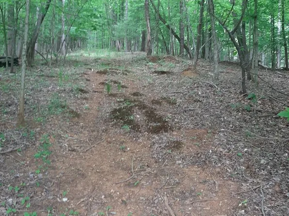 0 Wilson Rd, Boones Mill, VA 24065