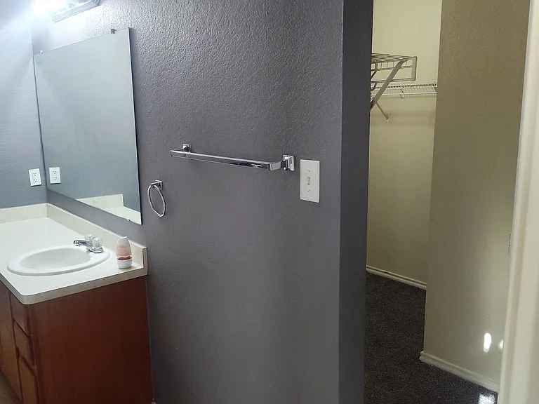 3007 Quiet Plain Dr — Photo 35