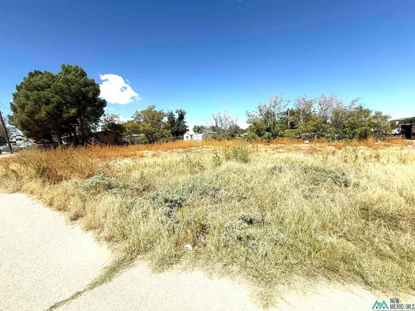 408 Vela St, Carlsbad, NM 88220