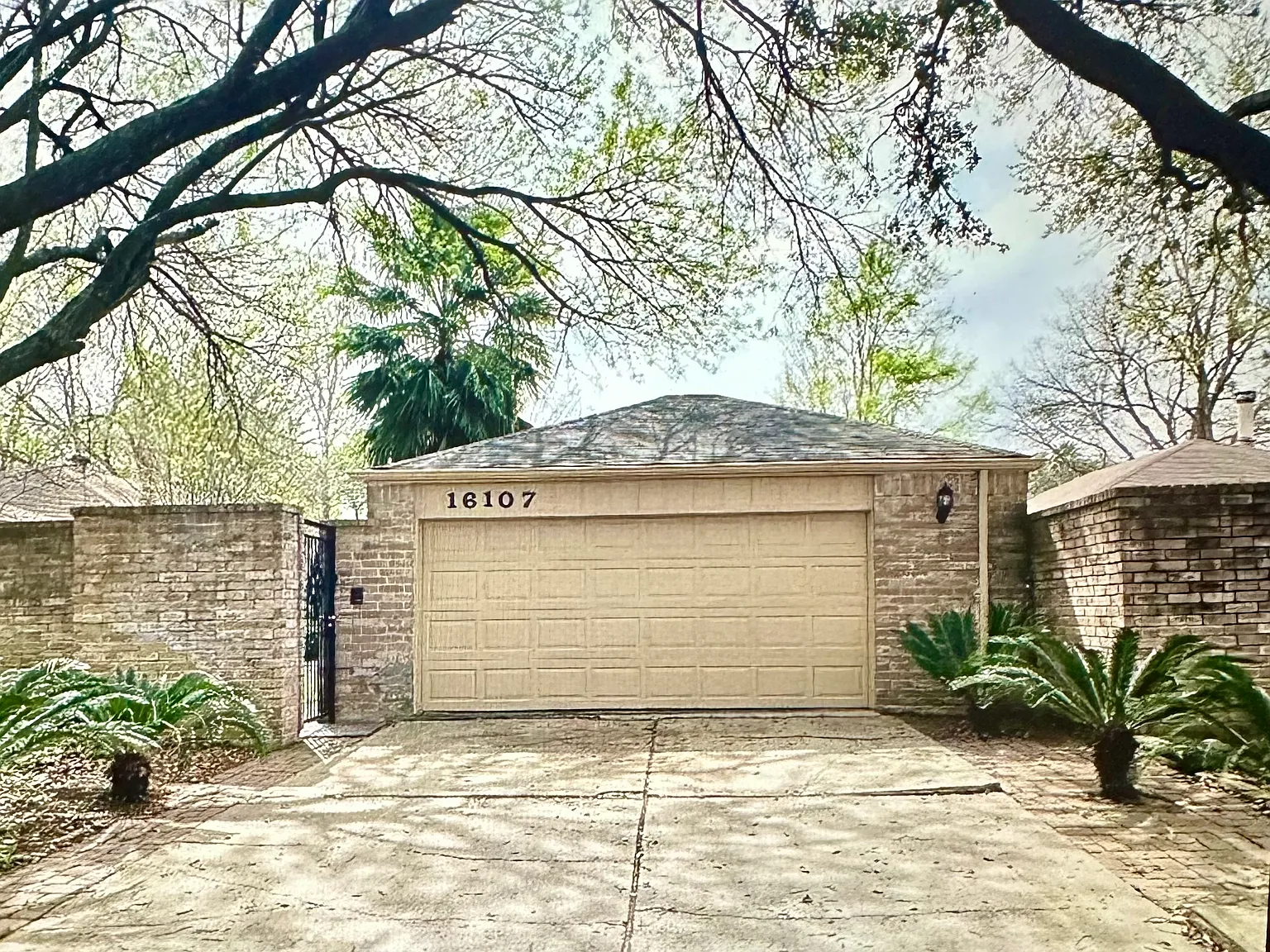 3 bed, 1500 sqft, $1,950 — Photo 1