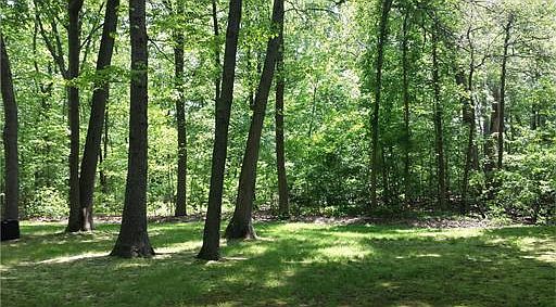 2nd image of 72 Spring Hill Rd