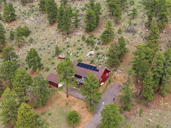 202 Badger Lane, Bailey, CO 80421