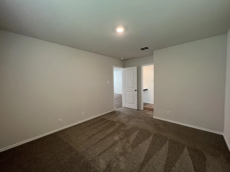 15315 Shortwing — Photo 24