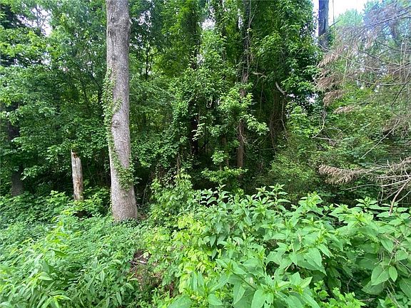 3rd image of 0 Nickajack Rd SE