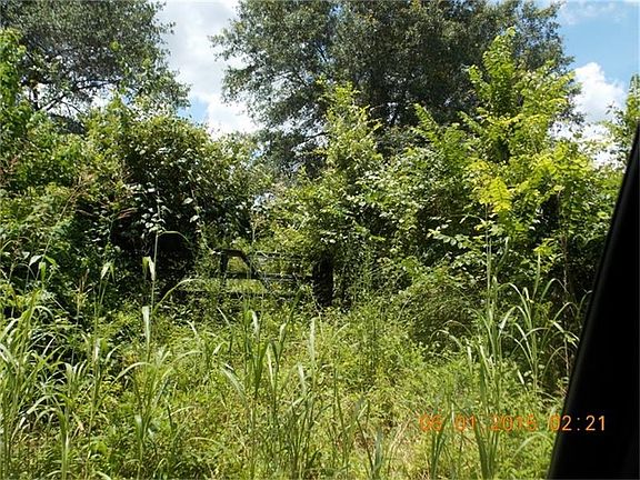 2nd image of County Road 147