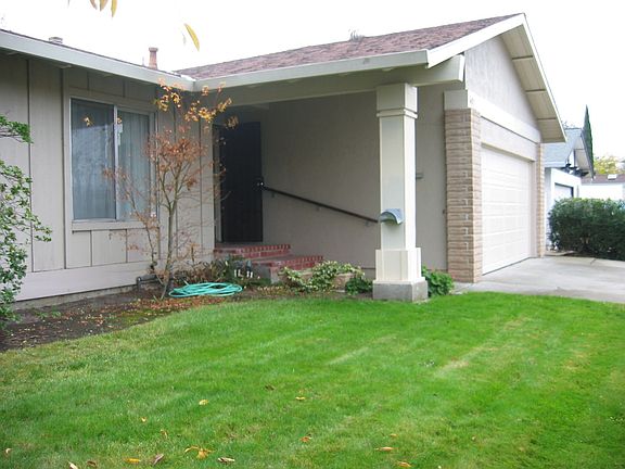 Lovely Yard