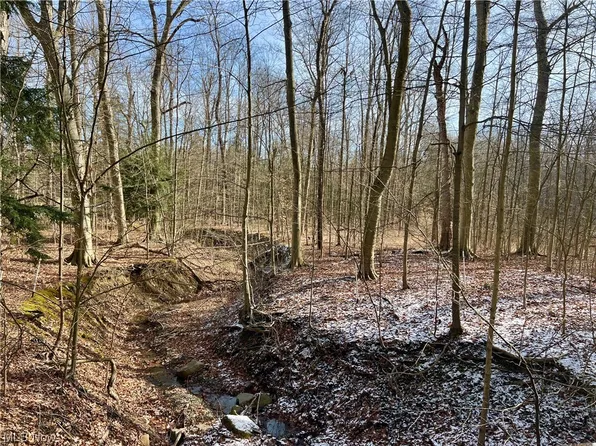 Vl West Hill Dr, Gates Mills, OH 44040