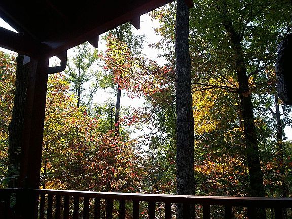 Cabin Front Porch View
