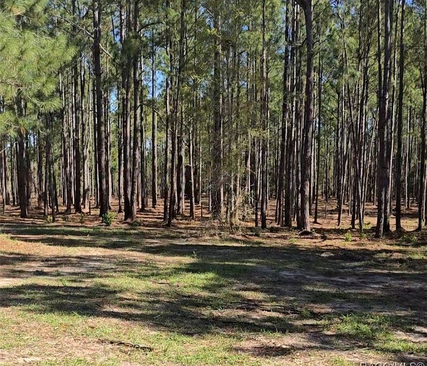 1st image of 10500 S Lecanto Hwy