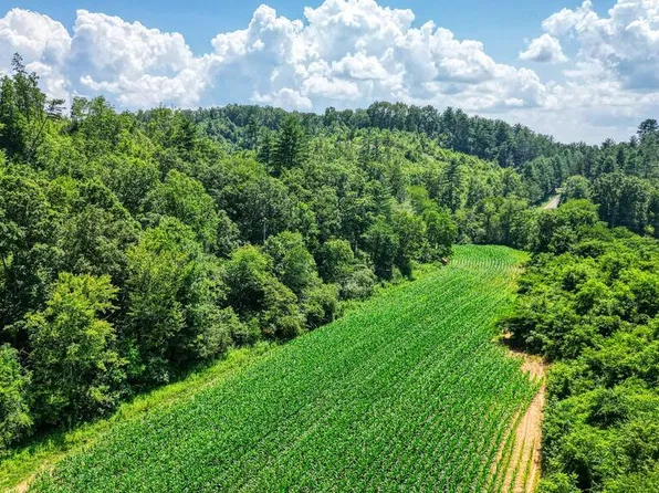 Hardscrabble Rd, Mineral Bluff, GA 30559