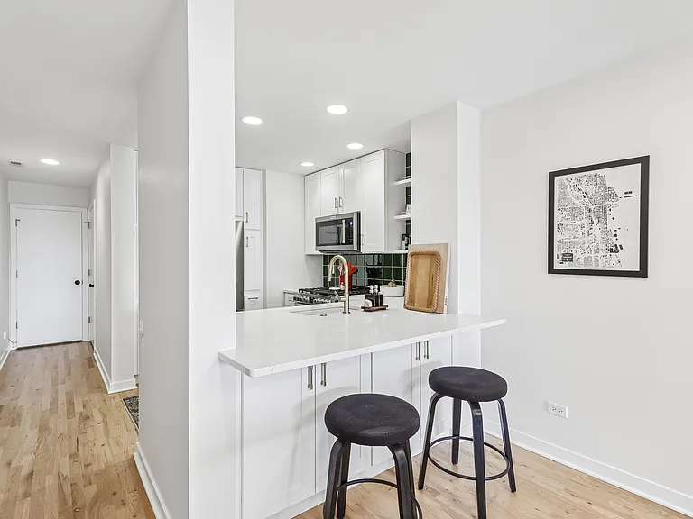 1515 N Wells St #7A — Photo 11
