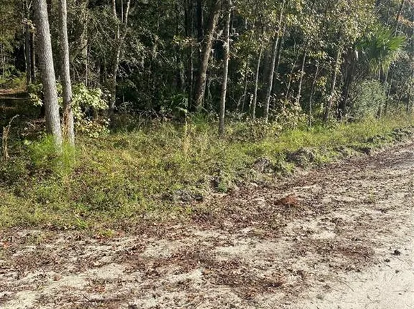 18781 NW 149th Ave #2, Williston, FL 32696