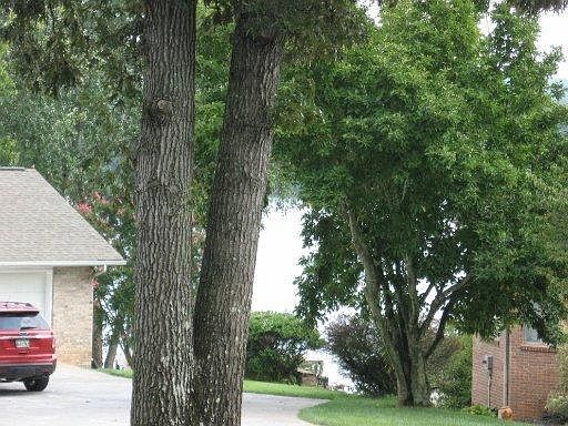 5th image of 156 Saligugi Way