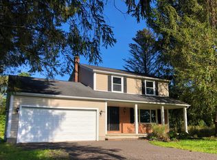 13966 Mill St, Springville, NY 14141