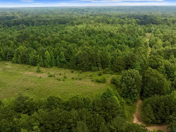 Private Road 1331 Tract 2, Elysian Fields, TX 75642