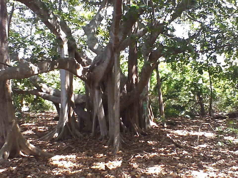 2nd image of 10 Schooner Lane