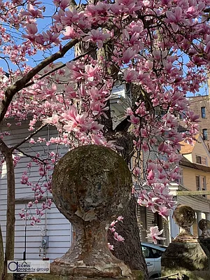 Rented by Access Property Group | media 2