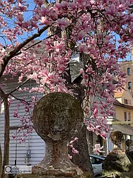 Rented by Access Property Group