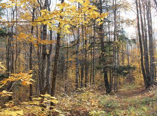 LOT 158 Light Blue Rd, Nisula, MI 49952