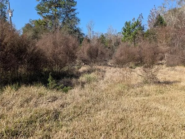 4814 NW 244th Ave, Alachua, FL 32615