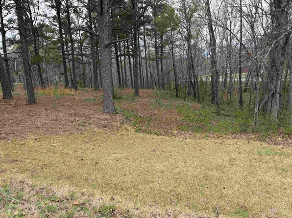 0 Tournament Dr Lot 24, Mountain View, AR 72560