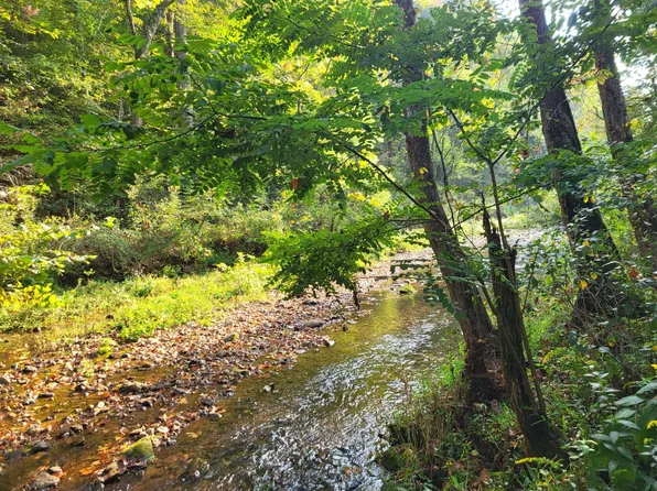 0 Arnold Hollow Rd, Waverly, TN 37185