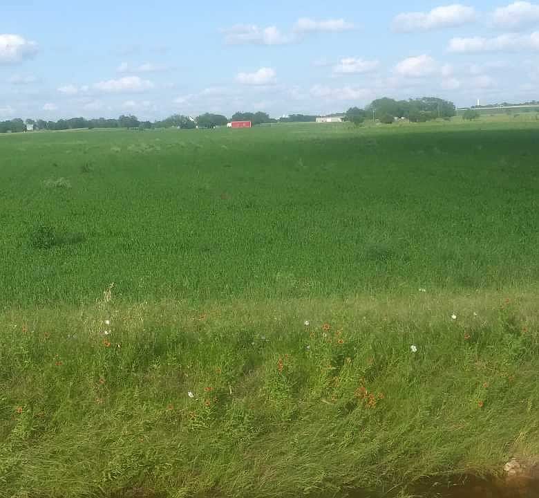 2nd image of 4826 County Road 239
