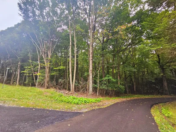Fernwood Dr, Tazewell, VA 24651