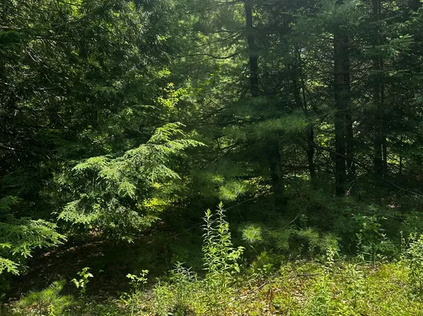 25 Cottage Lane, Orland, ME 04472