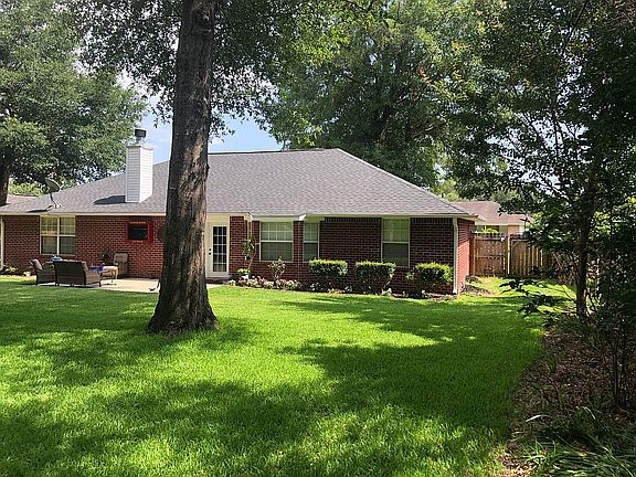 Back yard 