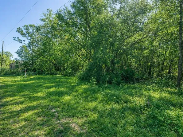 17 Guava Pass Lot 17, Ocklawaha, FL 32179