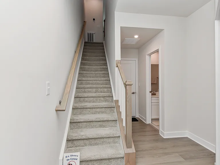 Entry Stairs