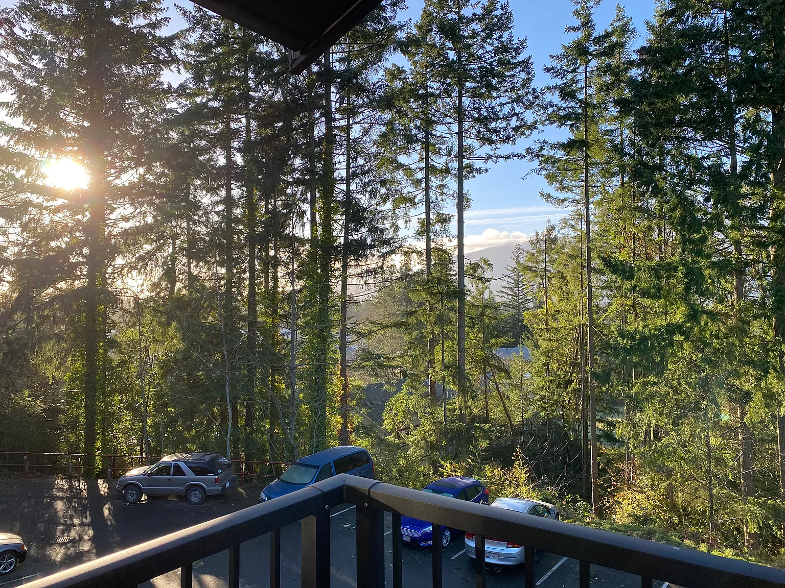 Forest Glen Manor — Photo 4