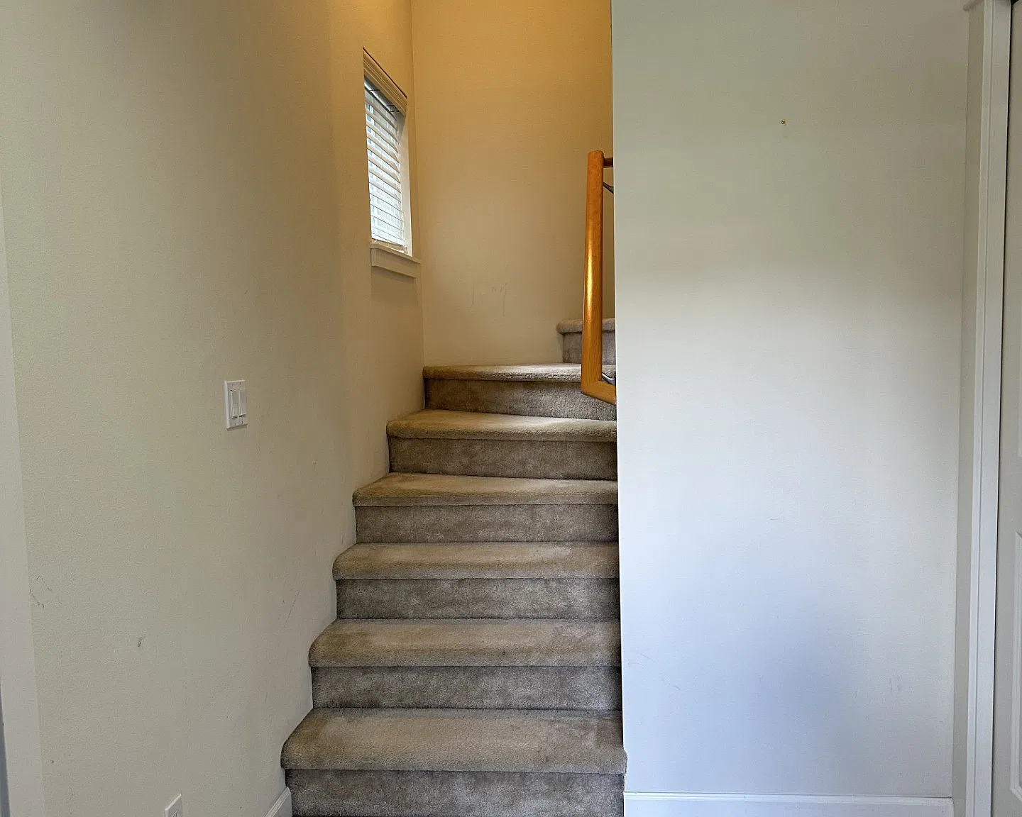 3 bed, 1580 sqft, $3,600 — Photo 4
