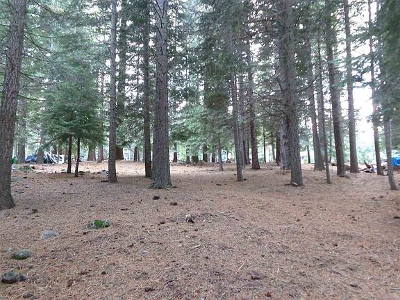4th image of 346 Lake Almanor West Dr