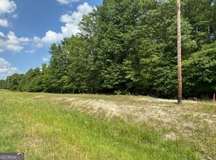 130 Goldkist Rd, Clyo, GA 31303