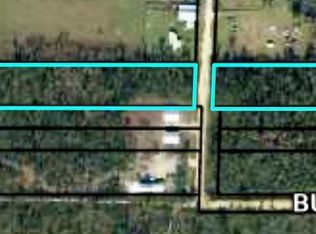 LOT 42 Buddy Floore Rd, Wewahitchka, FL 32465
