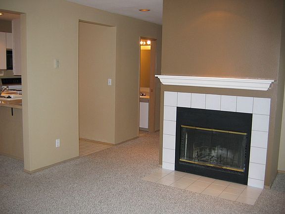 Wood burning F/P in LR