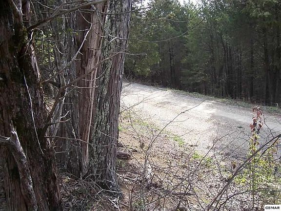 4th image of 9495 Blue Herring Way Lot 94-95