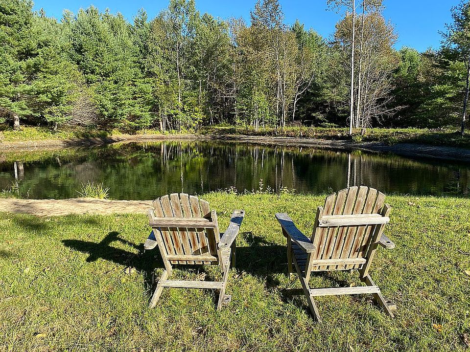 The pond
